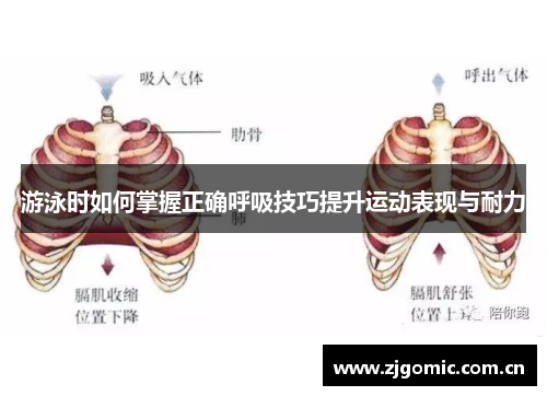 游泳时如何掌握正确呼吸技巧提升运动表现与耐力